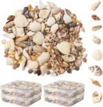 Ira Pollitt Tiny Natural Mixed Ocean Sea Shells Tiny Miniature Beach Critter Sea... - Image 2