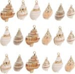 SUNNYCLUE 1 Box 24Pcs 6 Styles Conch Shell Charm Bulk Natural Shell Charms Summe... - Image 2