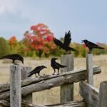 Raven Decor,Metal Birds Black Bird Crow Statue,Raven Statue Fence Topper Fake Cr... - Image 4