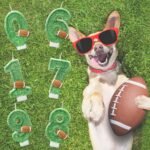 Football Birthday Number Candles for Cake Green Number 12 Candle Football Cake T... - Image 6