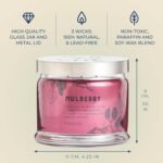 PartyLite Mulberry Scented, Notes of Tart Black Currant, Sweet Blackberry, Juicy... - Image 6