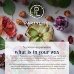 PartyLite Mulberry Scented, Notes of Tart Black Currant, Sweet Blackberry, Juicy... - Image 7