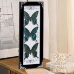 Framed 3 Real Butterfly Gothic Decor, 15.2"X6.5" Taxidermy Butterfly Shadow Box ... - Image 4