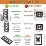 Framed 3 Real Butterfly Gothic Decor, 15.2"X6.5" Taxidermy Butterfly Shadow Box ... - Image 6