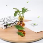 Propagation Vases for Plants Plant Propagation Jars Unique Body Avocado Vase Gla... - Image 4