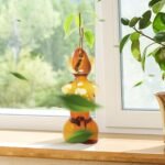 Propagation Vases for Plants Plant Propagation Jars Unique Body Avocado Vase Gla... - Image 6