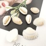 60 Pcs Natural Conch Shells with Holes for Home Hat Shoes Decoration Jewelry Mak... - Image 4