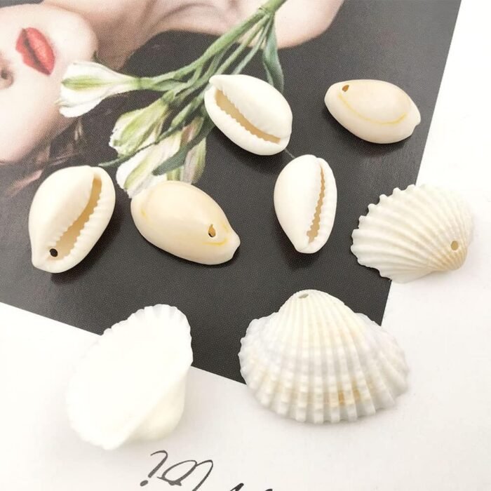 60 Pcs Natural Conch Shells with Holes for Home Hat Shoes Decoration Jewelry Mak... - Image 4