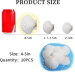 LUCKY BABY Scallop Shells for Crafts 4-5 Inches, 10pcs Large Sea Shells for Deco... - Image 3