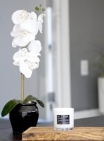 Lulu Candles | White Jasmine & Green Tea | Luxury Scented Soy Jar Candle | Hand ... - Image 4