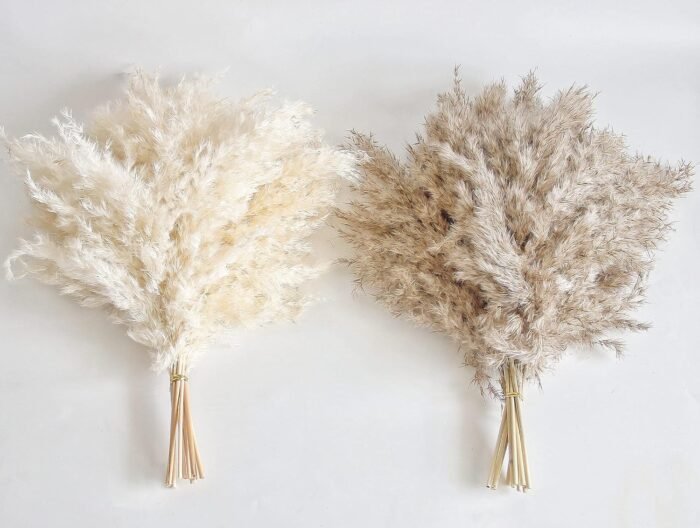 30 PCS Boho Decor, Fluffy Pompas Grass, Natural Dry Pampas Grass Small, Short Pa... - Image 4