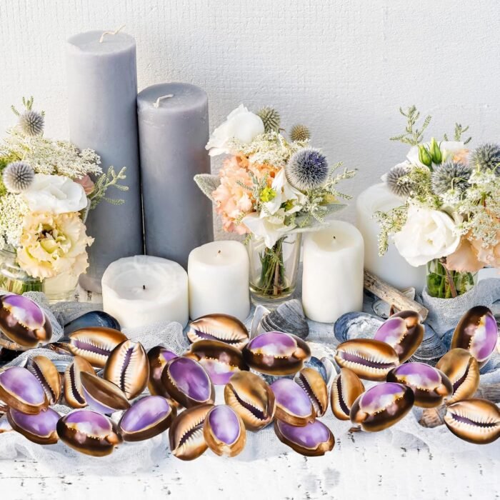 20PCS Sea Shells Purple Beach Shells for Crafts, Vase Filler, Wedding Decoration... - Image 3