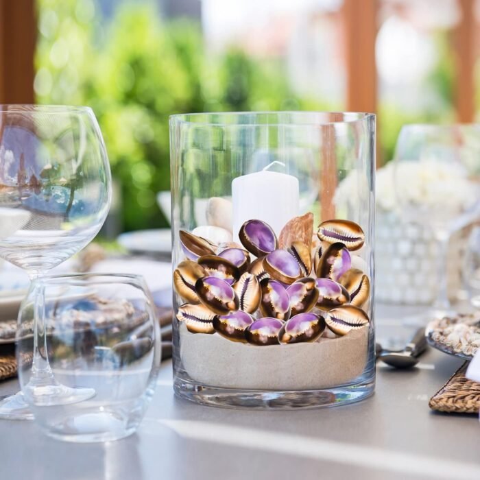 20PCS Sea Shells Purple Beach Shells for Crafts, Vase Filler, Wedding Decoration... - Image 5
