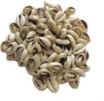 200+ Pcs Medium Bulk Cut Sea Shell Beads Cowrie Loose Cowry - Image 3