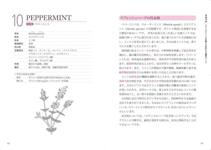 Rev [Medical Herbs Test Passed. Protection Problem Collection] – Herbal Starting... - Image 4