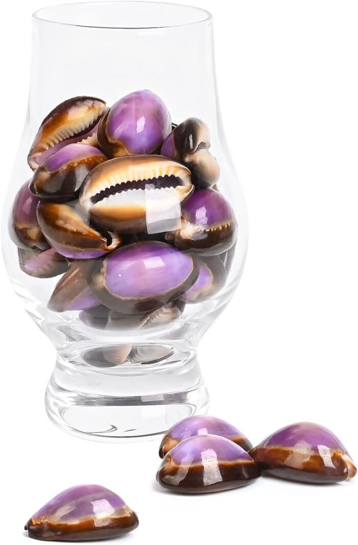 20PCS Sea Shells Purple Beach Shells for Crafts, Vase Filler, Wedding Decoration... - Image 2