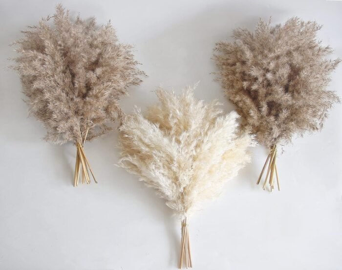 30 PCS Boho Decor, Fluffy Pompas Grass, Natural Dry Pampas Grass Small, Short Pa... - Image 2