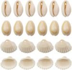 60 Pcs Natural Conch Shells with Holes for Home Hat Shoes Decoration Jewelry Mak... - Image 2