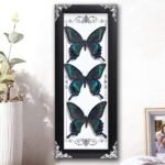Framed 3 Real Butterfly Gothic Decor, 15.2"X6.5" Taxidermy Butterfly Shadow Box ... - Image 2