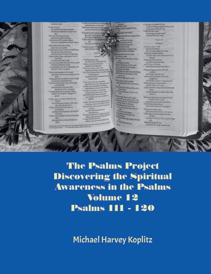 The Psalms Project Volume Twelve - Discovering the Spiritual World through the P... - Image 2