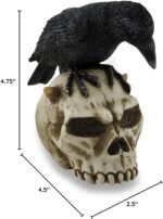 Veronese Design Crow Perched On Horned Skull Sculptural Statue - Image 5