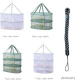 Foldable Drying Net for Vegetables, Fish, and Dehydrated Goods, Multi-Tiered Foo... - Image 4