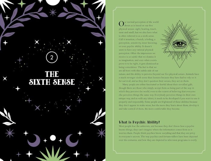 In Focus Psychic Development: Your Personal Guide (Volume 18) (In Focus, 18) - Image 4