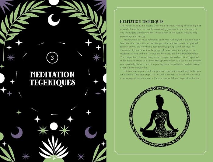 In Focus Psychic Development: Your Personal Guide (Volume 18) (In Focus, 18) - Image 7