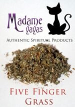 5 Finger Grass (Cinquefoil) - Image 3