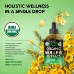 Mullein Drops for Lungs - USDA Organic Liquid - Mullein Leaf Extract Supplement ... - Image 5
