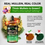 Mullein Drops for Lungs - USDA Organic Liquid - Mullein Leaf Extract Supplement ... - Image 6