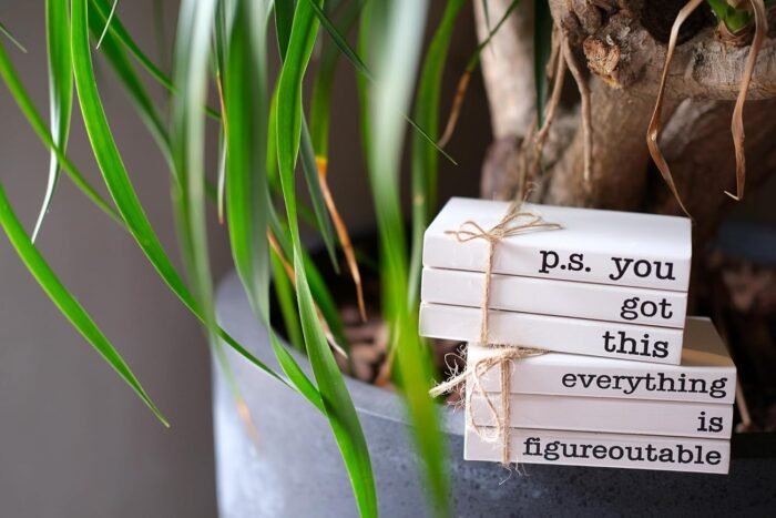 Cute Office Desk Decor, Inspirational Wooden Mini Faux Books for Decoration, Gif... - Image 6