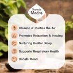 8pcs Wildly Harvested Thick Palo Santo Incense Sticks (Plant Based), 9” Long - E... - Image 5