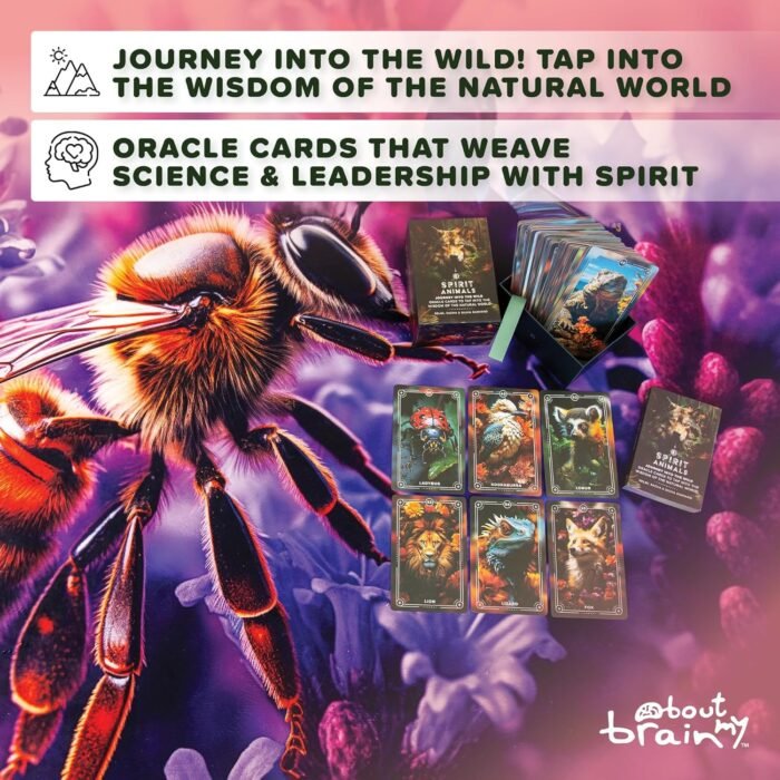 Spirit Animals Oracle Deck | Edition 2 | 96 Oracle Cards and Pocket Guidebook | ... - Image 3