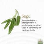 Gonesh - Extra Rich Scented Incense Sticks - Non-Toxic 10” Slow Burn Aromatic St... - Image 3