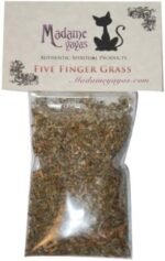 5 Finger Grass (Cinquefoil) - Image 2