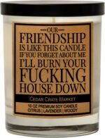 Cedar Crate Market - Funny Candles for Women, Men - Our Friendship Candle Gift f... - Image 2