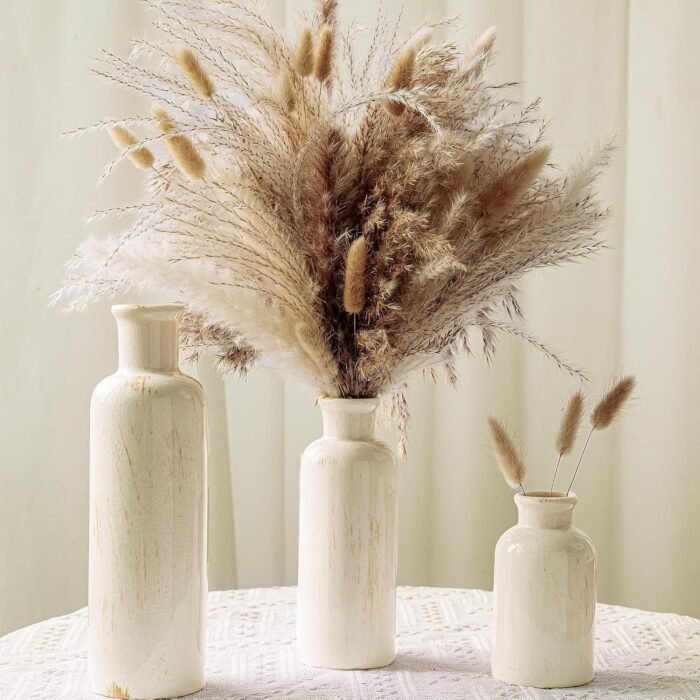 Pampas Grass with Vase Set – 3 Beige White Ceramic Vases with Natural Dried Pamp... - Image 2