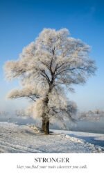 Earth Blessings Oracle Cards: Connect with the Healing Power of Nature (A 48 Car... - Image 5
