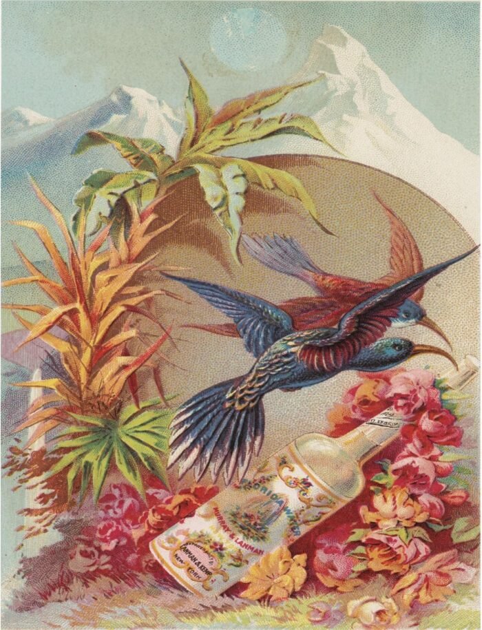Florida Water Rice Paper, 8 x 10.5 inch (6pc) - Mulberry Paper for Decoupage Scr... - Image 6