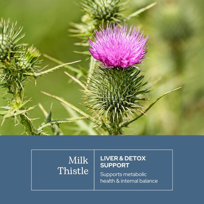 Eclectic Herb - Premium Freeze Dried Milk Thistle Capsules | Dietary Supplement ... - Image 4