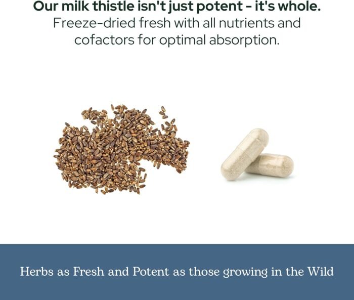 Eclectic Herb - Premium Freeze Dried Milk Thistle Capsules | Dietary Supplement ... - Image 7
