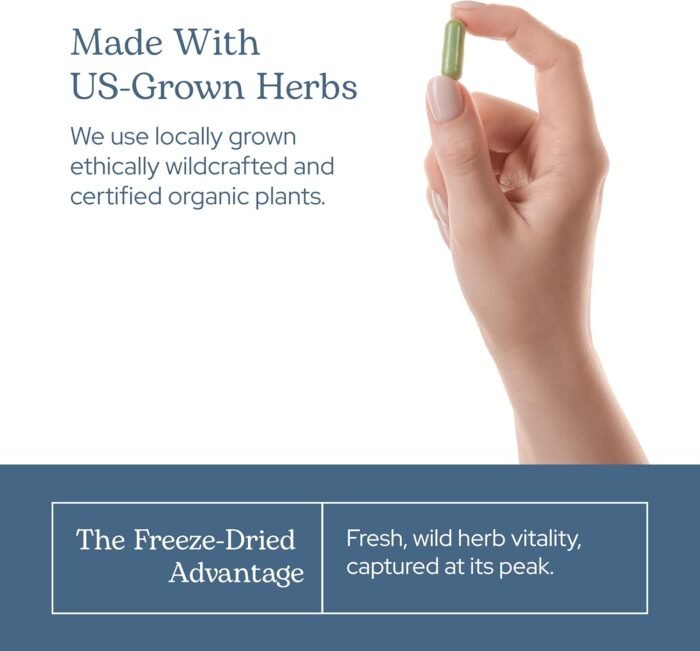 Eclectic Herb - Premium Freeze Dried Milk Thistle Capsules | Dietary Supplement ... - Image 8