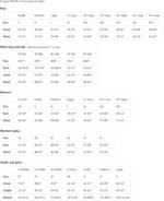 Elegua Santeria Orisha God of Africa Cuba Yoruba Mythology T-Shirt - Image 3