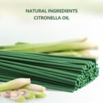 STRN Citronella Incense Sticks - Lemongrass Scent, 120 Sticks per Box with Holde... - Image 4