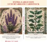 Herbal Whisper Oracle Cards, Oracle Cards with Meanings, 46 Spiritually Inspired... - Image 3