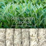 White Sage Smudge Sticks 4" Long - Burning Sage Bundle for Cleansing House, 3pk - Image 6