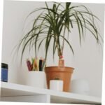 STOBAZA Wooden Bagua Corner Amulet Plaque for Feng Shui Moon Phase Pendulum Boar... - Image 8