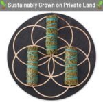 Cedar Smudge Sticks 4 Inch | Cedar Sage Smudging Wands | Wholesale Sage Bulk Sag... - Image 3