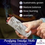White Sage Sticks Pack of 3, Sage Smudge Kit 4'' Long Dried Sage Sticks for Medi... - Image 5